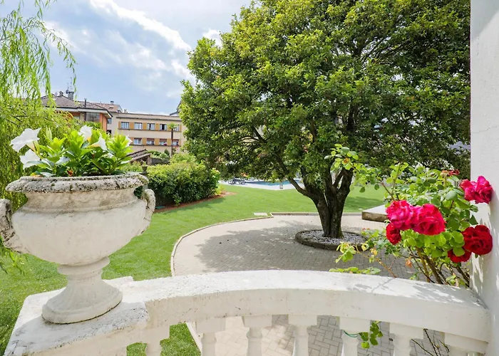 Rachel Quadro Daire *