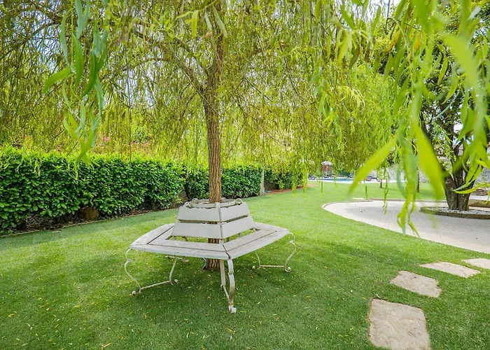 Rachel Quadro * Intra